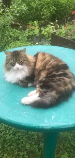 Fluffy cat lounging on a green table in a serene garden setting.