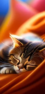 Sleeping cat on vibrant orange blanket, exuding warmth and coziness.