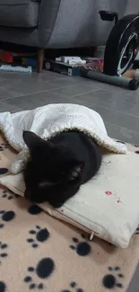 Black cat cozily sleeping on paw-print blanket and pillow.