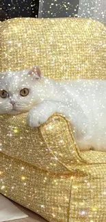 Fluffy white cat on a sparkling gold chair, exuding coziness and glamour.