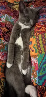 Gray cat sleeping on colorful quilt pattern.