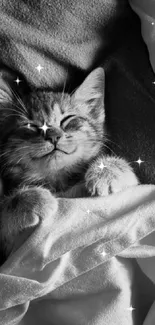 Cozy kitten sleeping under blankets in black and white.