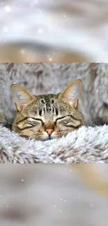 A cozy cat peacefully sleeps in a fluffy, serene background.