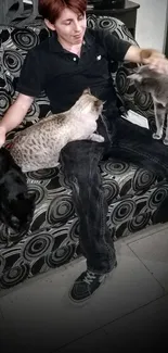 Person petting three cats on a patterned sofa.