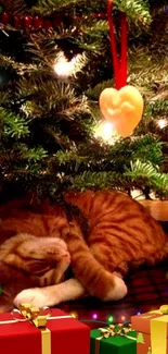 Cozy ginger cat sleeping under a Christmas tree with festive lights and gifts.