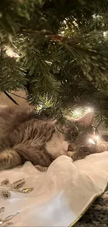 Cat relaxing under a decorated Christmas tree with festive lights.