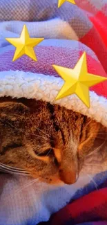 Cat cozily wrapped in a colorful blanket with stars.