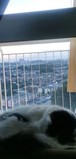 Cozy cat resting by a window with a city view.