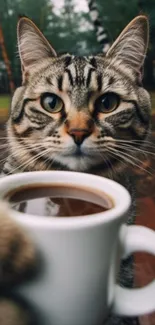 Curious cat with coffee cup in nature.