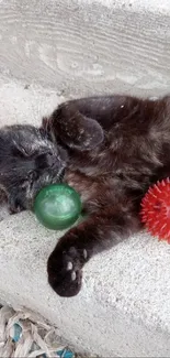 Sleeping cat with colorful toy balls on stairs.