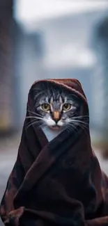 Cat wrapped in a brown blanket in an urban setting.