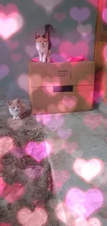 Two cats near a cardboard box against a gray wall.