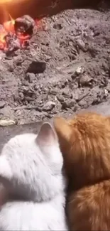 Two cats snuggle by a warm, cozy fire.