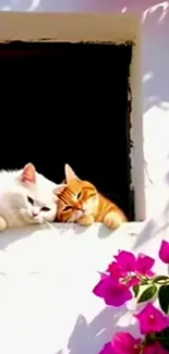 Two cats relax by a sunny window with vibrant flowers beneath.