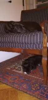 Two black cats lounging on a vintage striped chair.