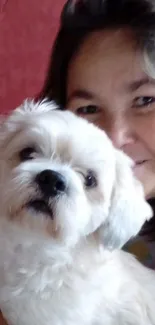 Fluffy white dog cuddle with smiling person against a light pink backdrop.