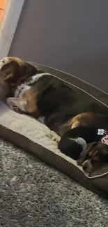 Two dogs sleeping on a comfortable pet bed.