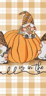 Fall gnomes with pumpkins on plaid wallpaper background.