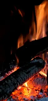 Cozy mobile wallpaper with flames and charred logs.