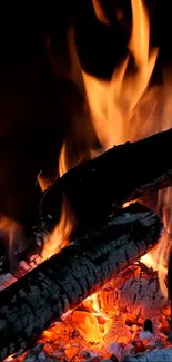 Cozy fireplace wallpaper with burning logs and vibrant flames.