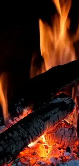 Cozy firewood wallpaper with warm flames.