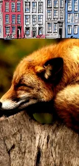 Peaceful fox resting with an artistic city backdrop.