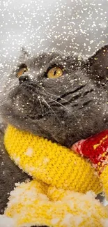 Gray cat wearing yellow scarf in snow.