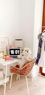 Cozy home office with dog and wicker chair.