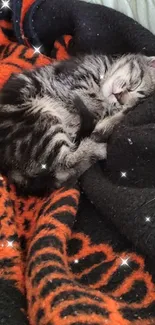 A kitten sleeping on an orange and black patterned blanket.