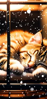 Adorable kitten sleeps against warm orange glow in a cozy setting.