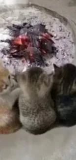 Three kittens by a cozy fire, laying closely together.