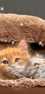 Five fluffy kittens snuggled in a cozy brown bed, perfect for a mobile wallpaper.