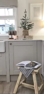 Cozy minimalist kitchen with neutral decor.