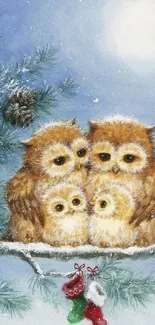 Fluffy owls on snowy branch with moonlit blue sky.