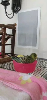 A parrot relaxes in a pink bowl on a cage, adorned with a pink towel.