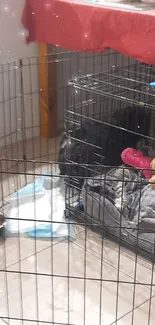 Cozy pet playpen with red tablecloth setting.