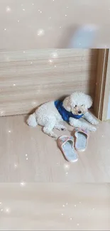 Adorable poodle by a wooden door with slippers, sparkling effect.