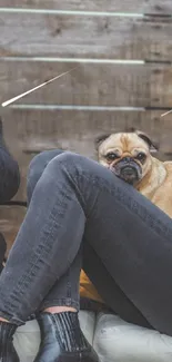 Pug resting beside owner on a cozy rustic setting.