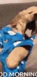 Adorable puppy in blue pajamas yawning on a couch with a cozy vibe.