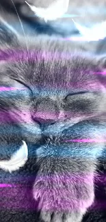 Cozy cat sleeping with floating feathers in a gray-themed wallpaper.