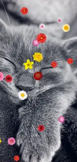 Monochrome wallpaper of a cozy sleeping cat in gray tones.