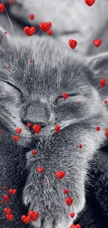 Sleeping gray cat snuggled in a cozy blanket.