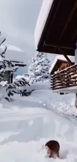 Snowy landscape with cabin and trees during winter.