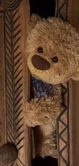 Teddy bear peeking from a wooden door, cozy vibe.