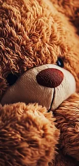 Close-up of a cozy teddy bear