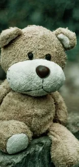 Cozy teddy bear sitting on a stone in nature.