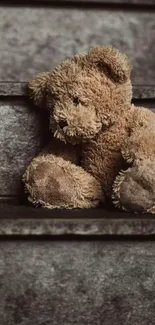 Brown teddy bear on stone steps, vintage look.