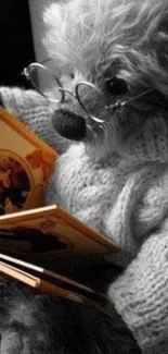 Teddy bear reading a book in a cozy sweater.