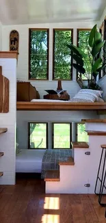 Cozy tiny house interior with wooden accents and plants.