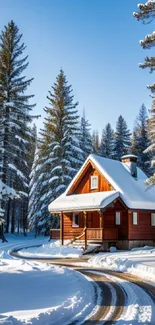 Cozy wooden cabin surrounded by snowy pine trees in a peaceful winter landscape.